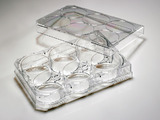Starlab CytoOne Tissue culture plates