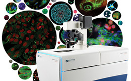 river of cells molecular devices