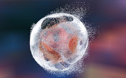 Chromatrap buffer chemistries are optimised for sonication and enzymatic shearing