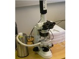 Linkam Scientific Instruments' MDSG600