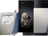 Thermo Scientific TSQ Quantiva Triple Quadruple LC-MS (r) with Thermo Scientific EASY n-LC 1000 LC (