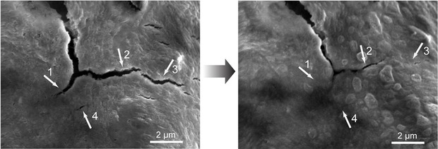 Self-healing battery cracks