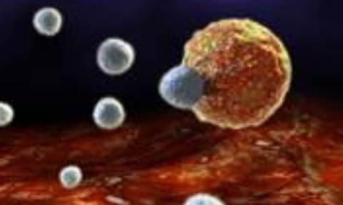 Cancer killing cells