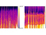 Studying heat transfer in thin-film flows is the key to enable the accurate prediction of complex hy