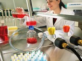 Laboratory contamination: The final defence mechanism