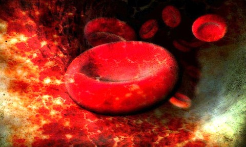 Blood cells cartoon