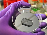 Organ-on-a-chip technology