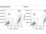 VivaFix Cell Viability Assays provide a simple way to identify dead cells in a sample.