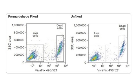 VivaFix Cell Viability Assays provide a simple way to identify dead cells in a sample.