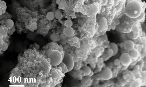 A femtosecond laser created detailed hierarchical structures in the metals, as shown in this SEM ima