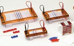 Clarit-E Choice Stretch Electrophoresis Gel Tanks