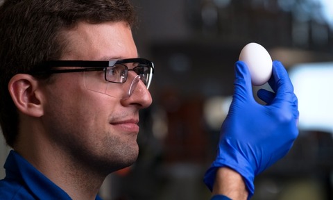 Chemistry major Stephan Kudlacek and professor Greg Weiss have developed a way of unboiling a hen eg