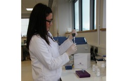 Chromatrap's application note describes how its ChIP-seq assays enable understanding of protein-DNA