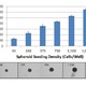 MDA-MB-231 spheroids after 7 days in culture. Increasing cell seeding density results in increased