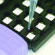 News of the latest test from Randox Food Diagnostics will be welcomed by poultry and egg processors