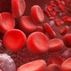 Blood cells