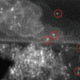 Microscopy