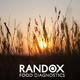 Feed contaminated with toxic levels of ergot alkaloids has been found to affect the reproductive cyc