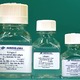 The EANOVA-COLL range of sterile collagen solutions